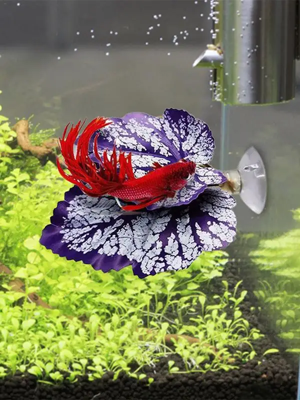 Simulación de pecera de Acuario, hamaca de paisaje de hoja Betta, descanso de peces, hoja de desove, cama de descanso de peces de Planta Artificial - imagen 4