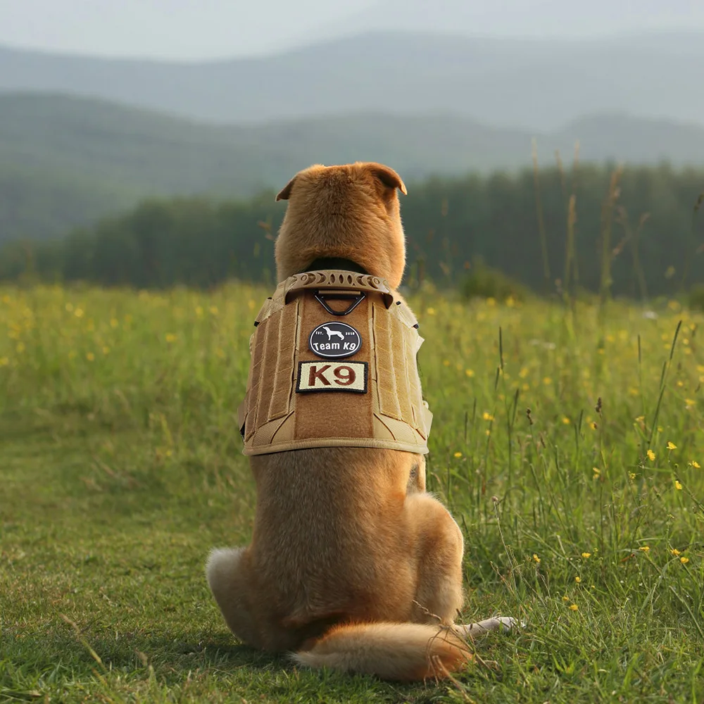 Etiqueta adhesiva para bolsa táctica, parche personalizado, etiqueta adhesiva, nombre personalizado para perro y gato, chaleco, arnés, Collar, 1 Uds. - imagen 5