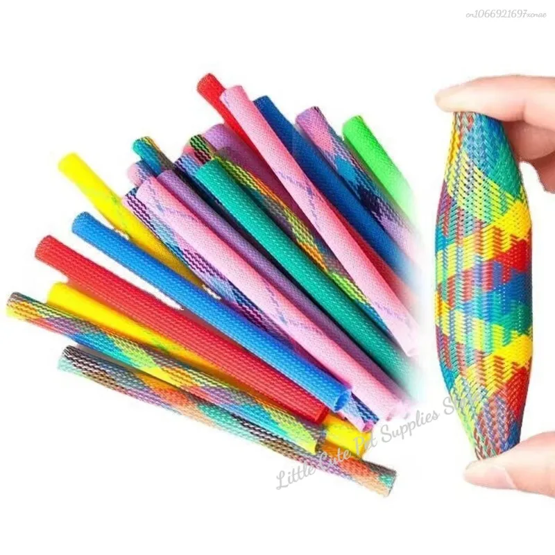 Gatitos y gatos adultos jugando con los juguetes - aplicación práctica