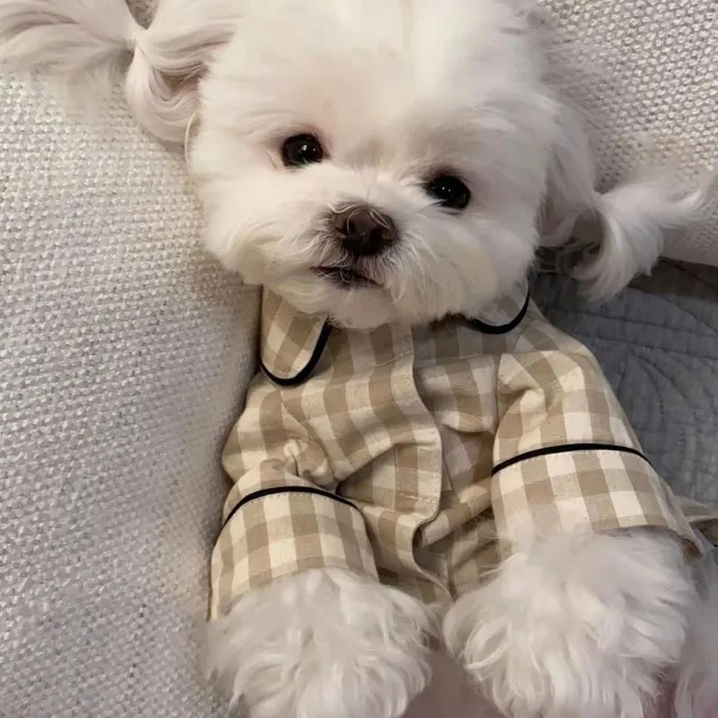 Pijamas a cuadros para perros pequeños, ropa de verano para cachorros, chaleco para mascotas, disfraz para el hogar, camisa de fondo para perros para todas las estaciones, camiseta para perros pequeños y gatos - imagen 3