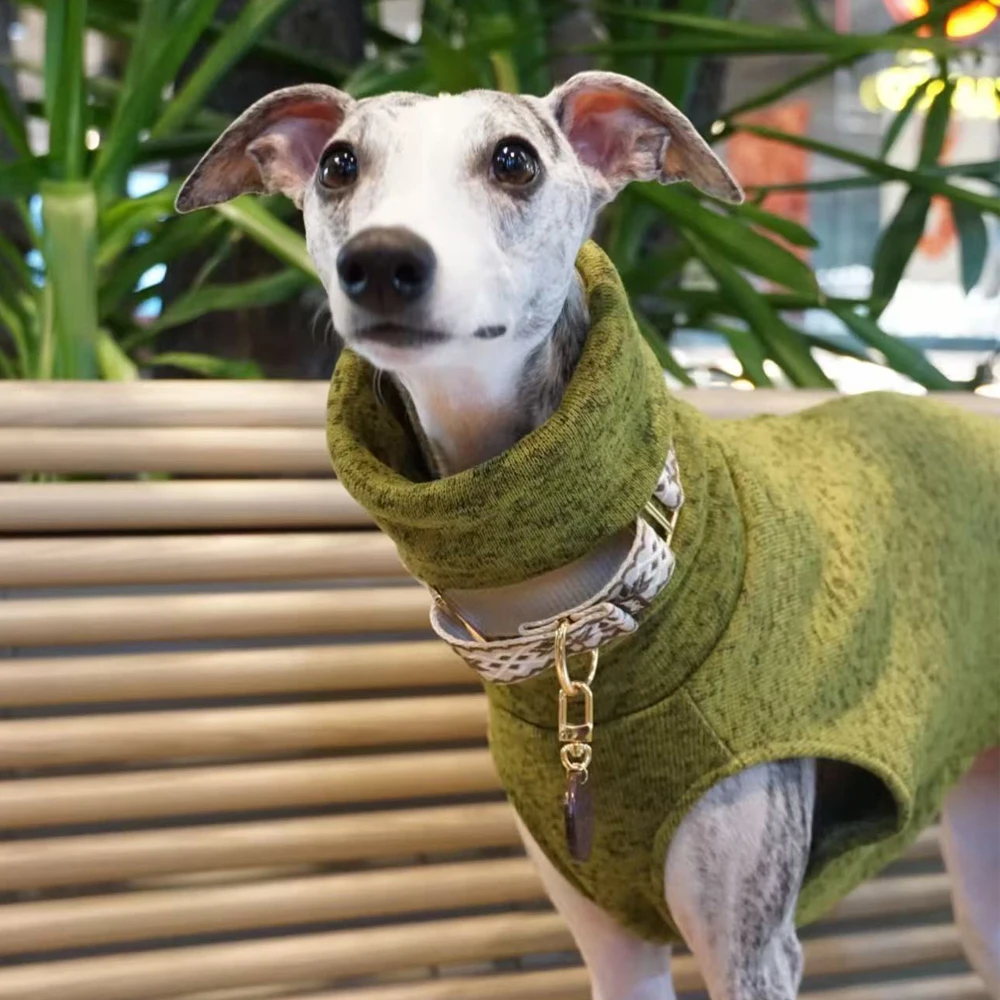 Chaleco verde de cuello alto para perros: Galgo Español, Whippet y Saluki - imagen 4