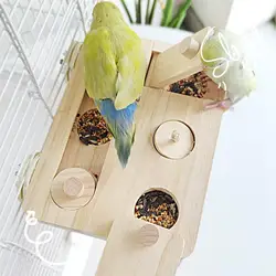 Juguete de enriquecimiento en madera para mascotas pequeñas