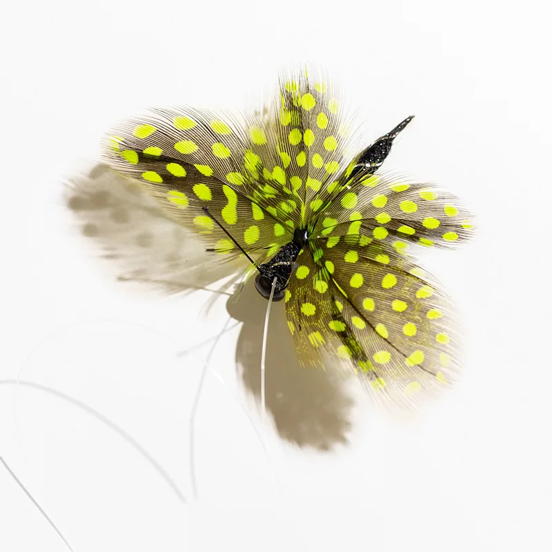 Palo teaser para gatos con plumas de puntos intercambiables – Juguete - imagen 5