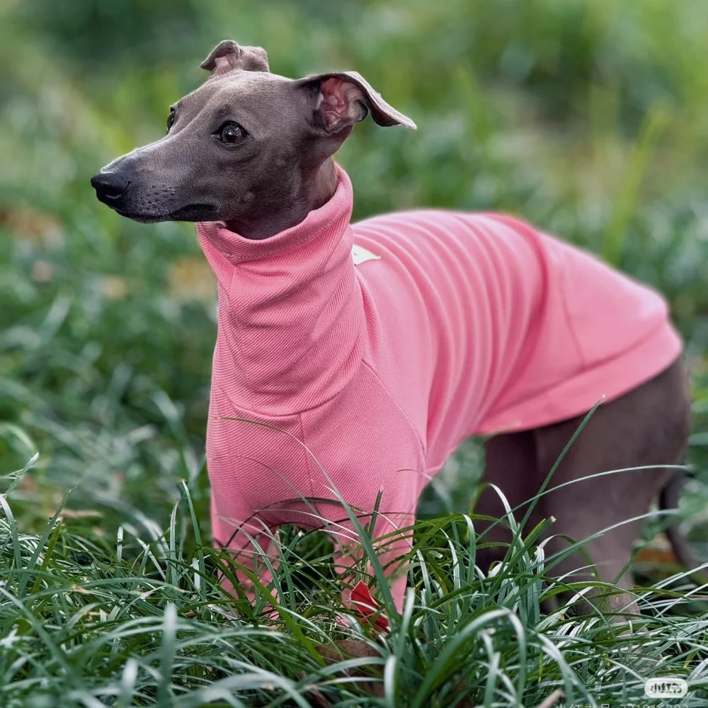 Camiseta de primavera estilo Janpanese para Italia Greyhound Soft Long Sleeves Spring Coat para ropa de whippet Verano Sweet Loungewear