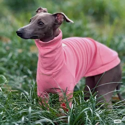 Chaqueta ligera primavera para perro galgo italiano y whippet