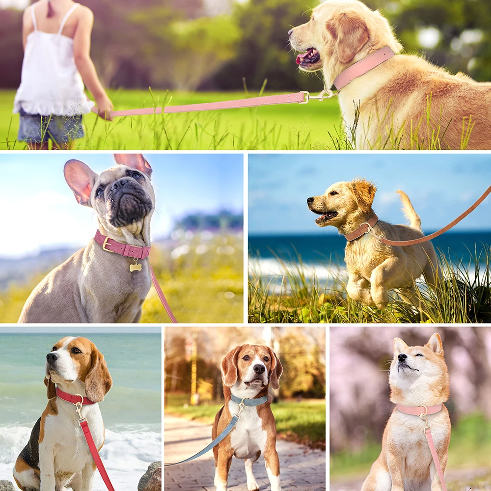 Collar de perro acolchado suave, conjunto de correa de cuero PU, collares para perros con cuerda de plomo para caminar, ajustable para perros pequeños y medianos, Pug - imagen 5