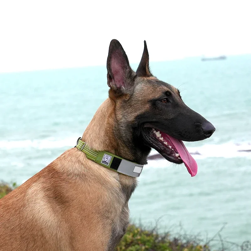 Winhyepet-Collar militar de nailon personalizado para perros, collares de entrenamiento ajustables para mascotas, tela táctica más gruesa para exteriores - imagen 5