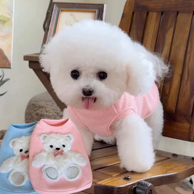 Mascota lindo oso invierno piña terciopelo boca Wombat dos piernas abrigo de terciopelo oso de peluche gato abrigo ropa para mascotas ropa para cachorros chaqueta - imagen 3