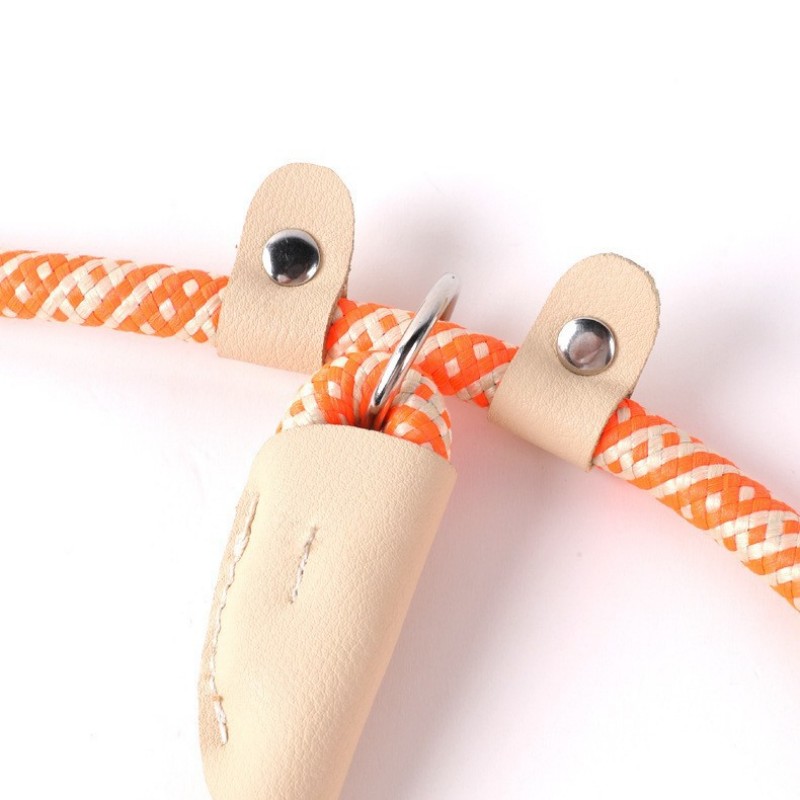 Cuerda de entrenamiento para cachorros con collar de cadena P