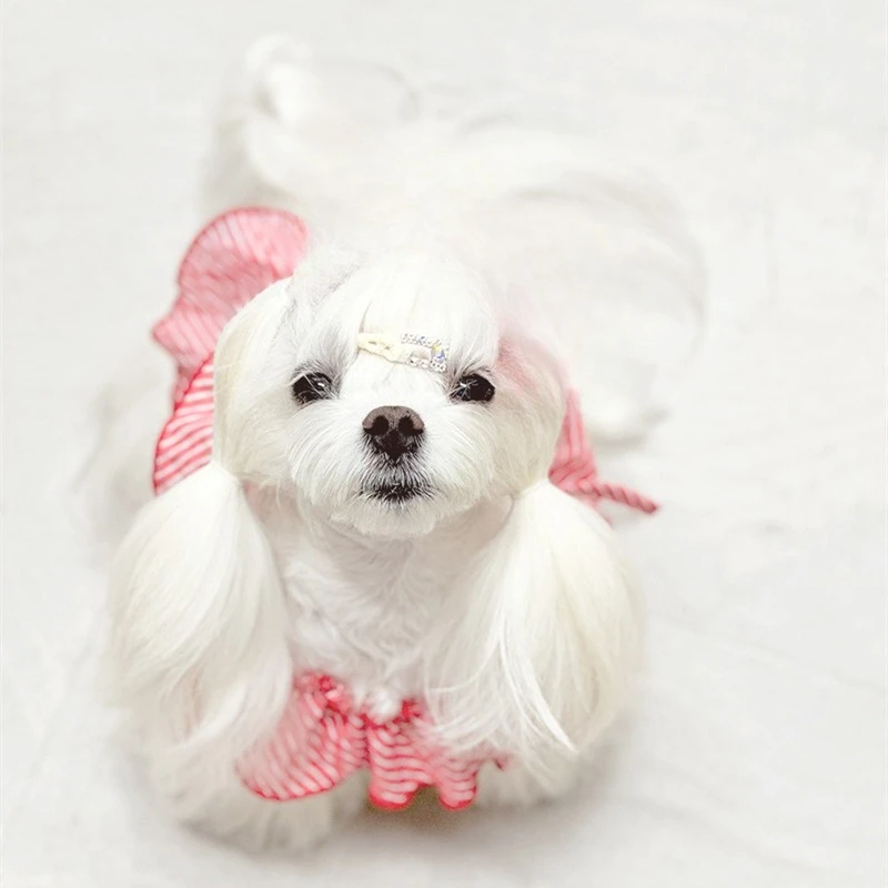 Chaleco de hombro inclinado a rayas para mascotas, vestido de estilo princesa para perros, falda con tirantes para gatos, top para mascotas de peluche - imagen 3