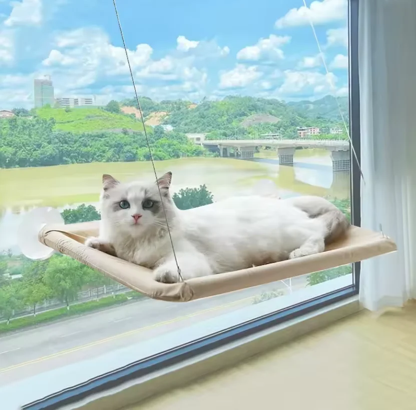 Hamaca para gatos en ventana