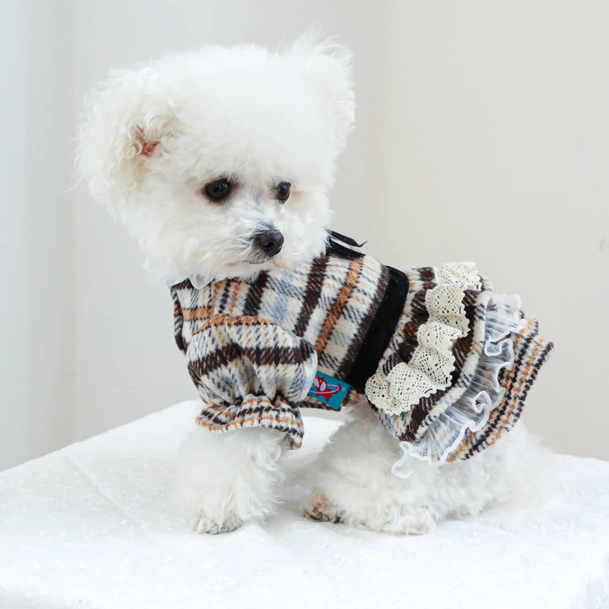 Ropa de moda para perro, vestido de princesa Vintage de encaje a rayas, ropa suave de invierno para perros pequeños, Chihuahua, Bichon para mascotas, nuevo - imagen 4