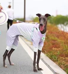Camiseta refrescante para perros Bedlington y Greyhound – Ropa de verano