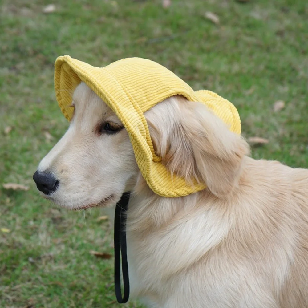 Gorra béisbol ajustable perros grandes y medianos: Golden Retriever - imagen 5