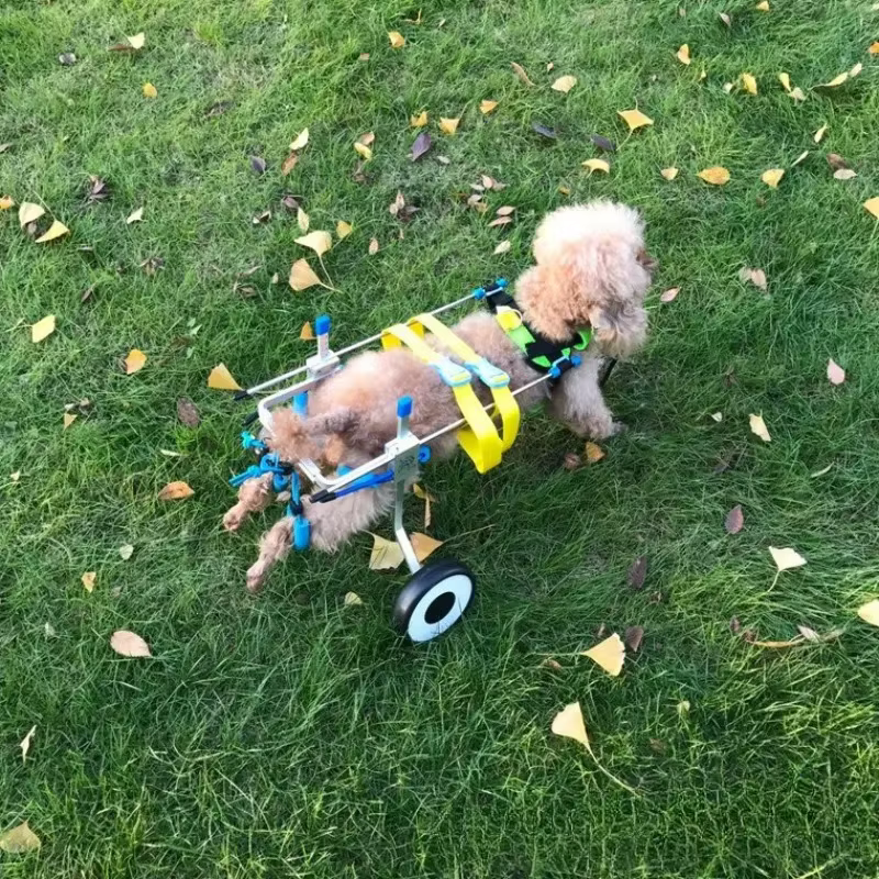 Silla de ruedas para perros y gatos discapacitados con ajuste - imagen 5