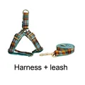 Harness   leash