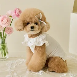 Vestido primavera encaje para gatos y perros pequeños