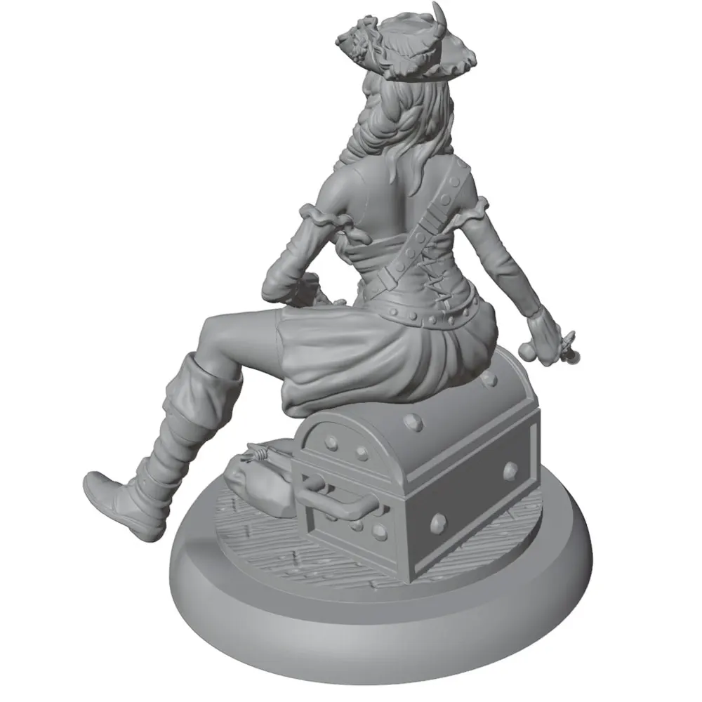 Figura pirata cofre tesoro – coleccionable para fans de gatos y perros - imagen 3