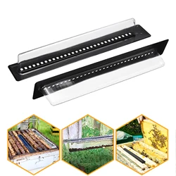 Herramientas de apicultura, trampas para escarabajo de abejas para colmena de abejas, trampa para escarabajos, colmena, suministros de ayuda para apicultura, 10/20 Uds.