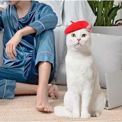 Boina de lana ajustable para gatos, cachorros y perros pequeños