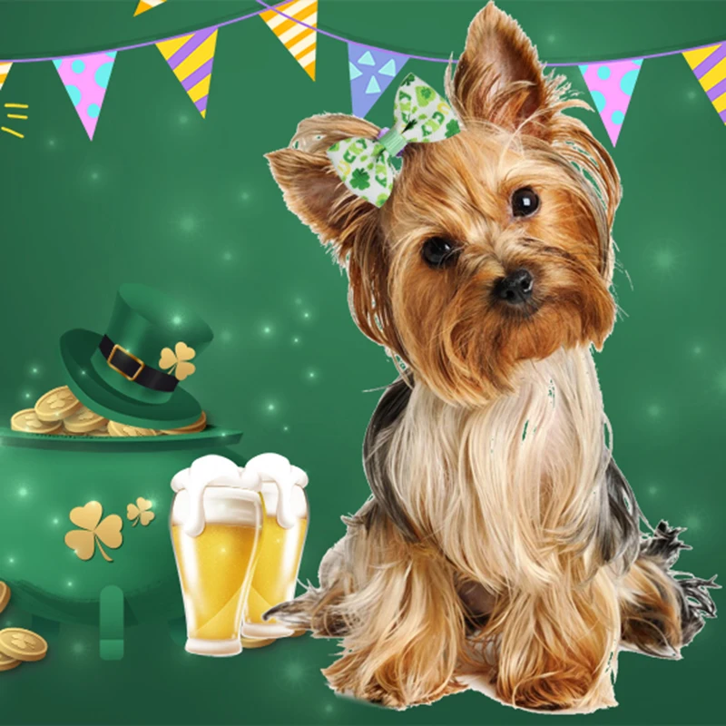 10/20/30 Uds. Lazos para perros, bandas de goma para el pelo, cuidado del Día de San Valentín, accesorios para sombreros para cachorros y mascotas, Schnauzer Yorkshire - imagen 5