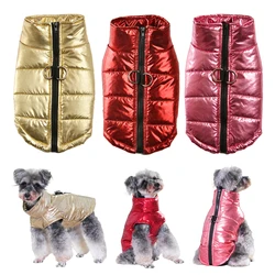 Chaqueta impermeable para Chihuahua y Bulldog Francés – Otoño invierno