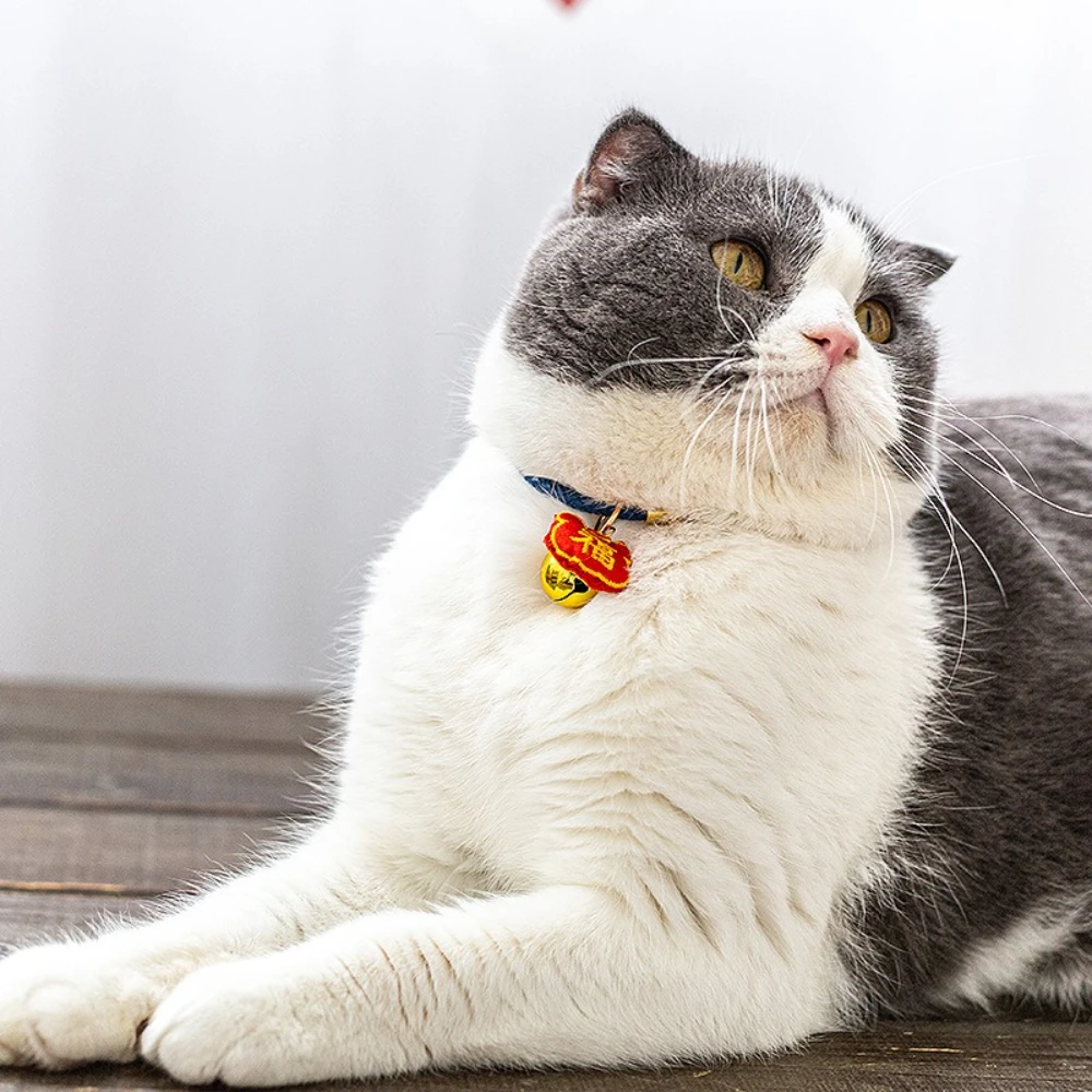 Collar de Cuero con Campana Antipérdida para Gatos y Perros Pequeños - imagen 4
