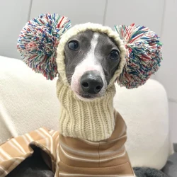 Gorro de punto con pompon para galgo italiano y perros medianos