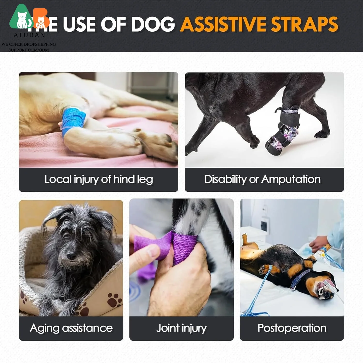 Arnes de elevacion para perros mayores - movilidad y rehabilitacion - imagen 5