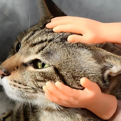 Mini fundas para dedos de mano para gatos, guantes de marionetas de mano falsas de silicona, juguete de broma interactivo para gatos provocadores y mascotas