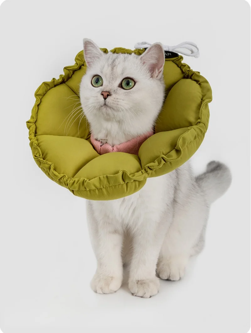 Collar de recuperación para gatos de gran diámetro, cono suave ajustable para gatitos, peso ligero, impermeable, Collar isabelino para evitar lamer - imagen 3