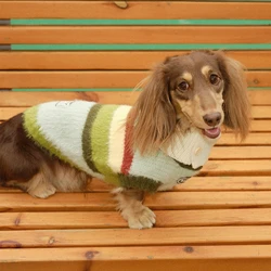 Jersey de punto para Dachshund – Verde manzana con rayas, abrigo suave