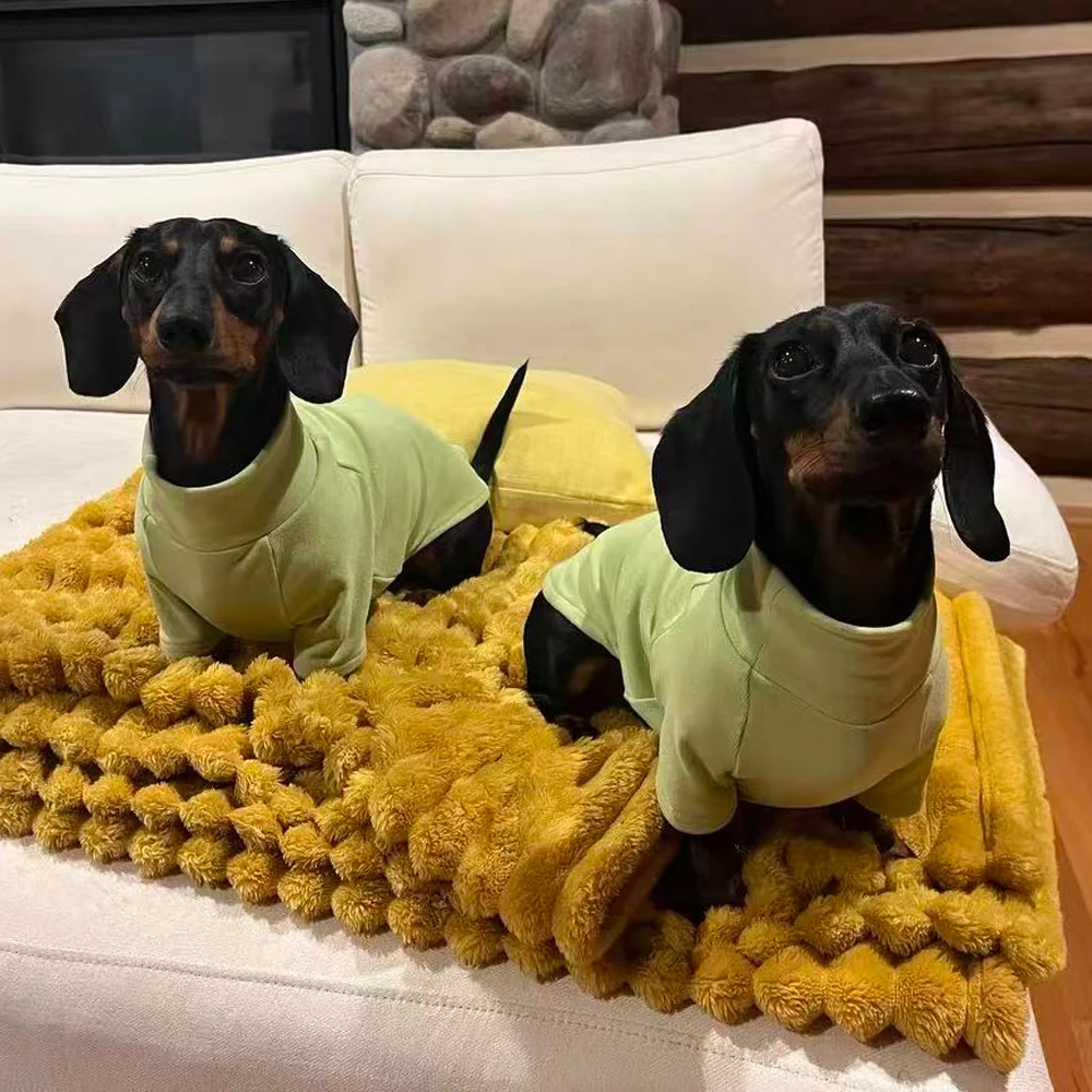 Mono polar cálido para perros pequeños dachshund – abrigo invierno - imagen 2