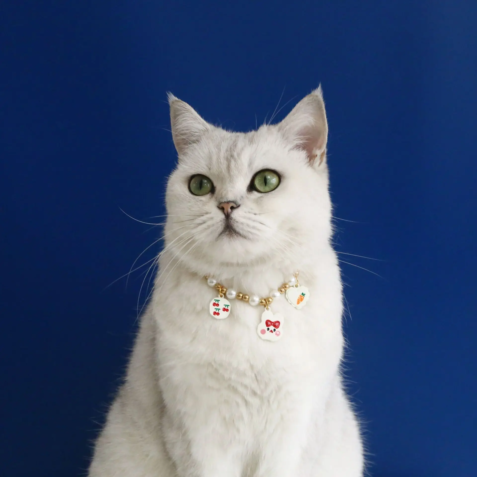 Collar de dibujos animados de perlas ajustables para mascotas, Collar de caniche para gatito y cachorro, accesorios para gatos, producto de Collar para mascotas - imagen 5