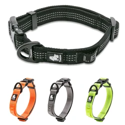 Collar LED acolchado para perros – Visibilidad y seguridad en paseos nocturnos