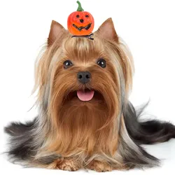 1 Uds. Pinza para el pelo de mascota de calabaza fantasma para perros y gatos, lazos para perros, horquilla para el pelo, accesorios para fiesta de Halloween para perros y mascotas
