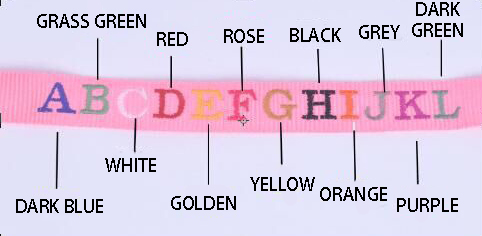 Collar con nombre personalizado en uso con mascota - demostración