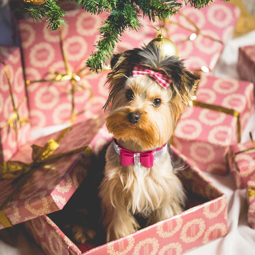 Pequeño mediano Bling Rhinestone gamuza cuero Bowknot accesorios Collar de perro ajustable mascota cachorro gatito Pug Collar collares - imagen 5