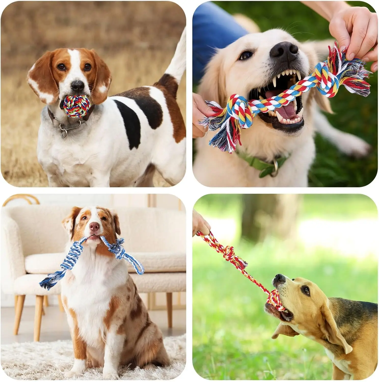 Juguetes interactivos de cuerda con nudos para cachorros - imagen 2