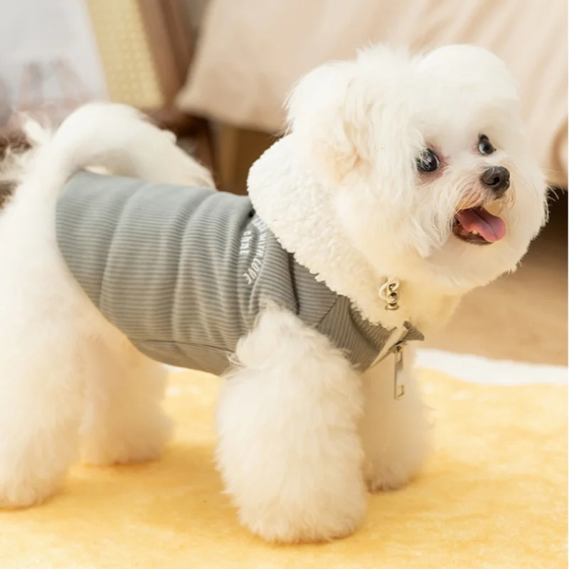 Ropa cálida de invierno para perros, chaqueta deportiva para perros, abrigo con Bordado de letras, chaleco para cachorros, abrigo de moda para gatos, ropa para mascotas Yorkie - imagen 2