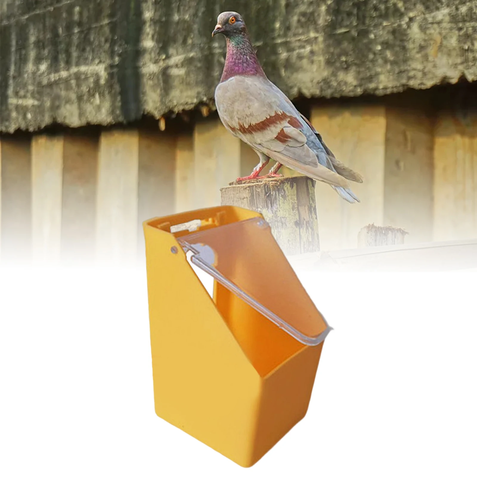 Comedero creativo para comida de pájaros, caja colgante para comedero de palomas con cubierta, contenedor de agua para loros y palomas, suministros de alimentación para pájaros - imagen 5