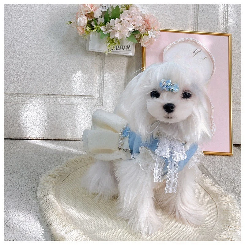 Vestido de otoño/invierno para mascotas, abrigo esponjoso para parejas, ropa de peluche Yorkshire, abrigo de invierno, ropa para perros pequeños, ropa para cachorros - imagen 4