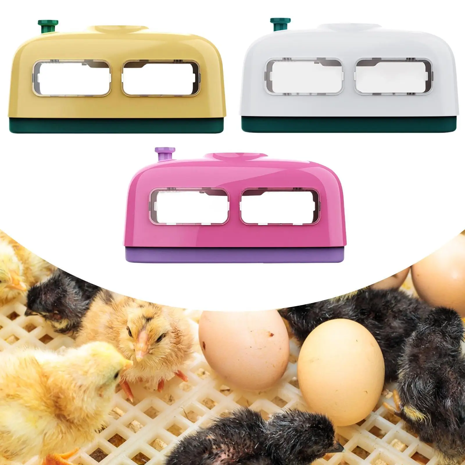 Incubadora de huevos Manual para girar huevos, máquina para incubar aves de corral, 8 incubadoras para incubar pollos para pollitos, pájaros y pollos - imagen 2