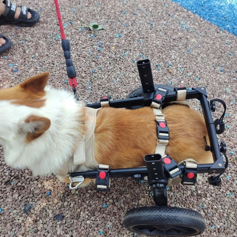 Silla de ruedas especial para perros mayores y Corgi con parálisis - imagen 3