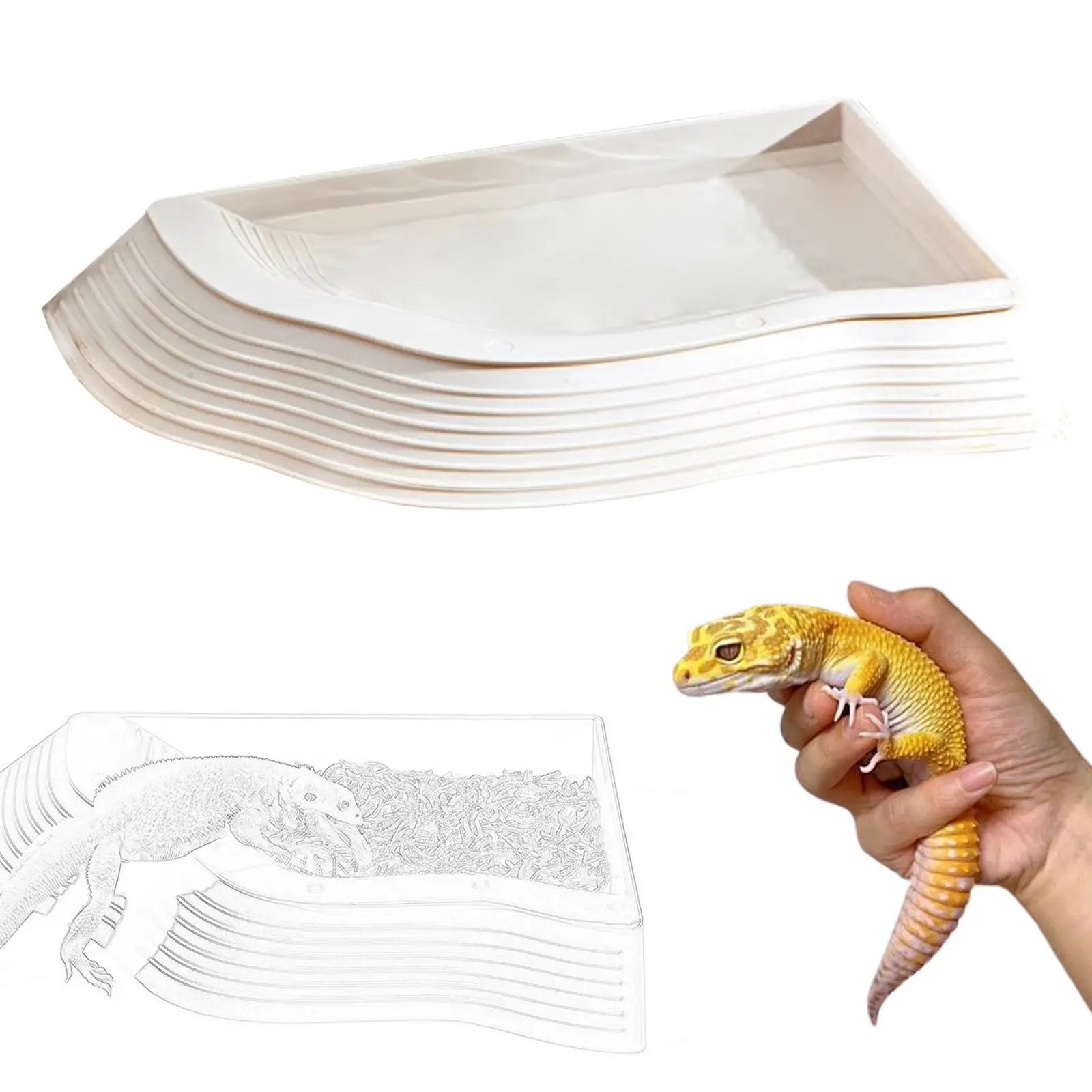 Turtle Bath with Ramp Food Feeder Bowl for Bearded Dragon Turtle Tortoise