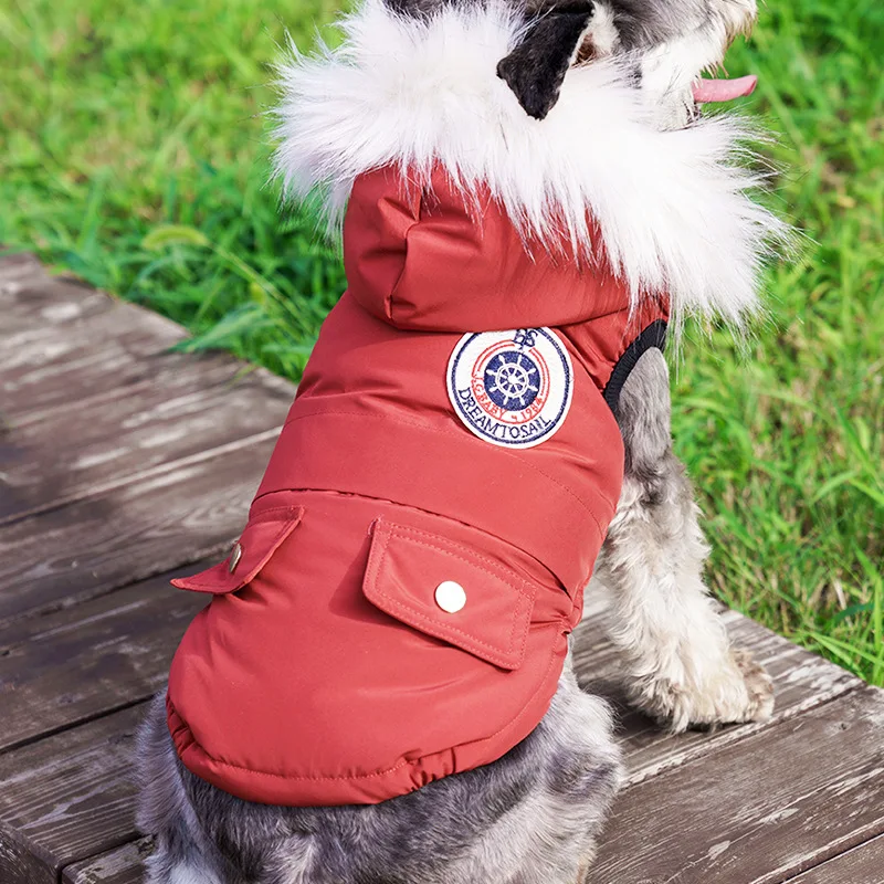 Ropa para perros cálidos y gruesos Otoño e Invierno dos patas Teddy Pomeranian Schnauzer chalecos para perros pequeños productos para mascotas - imagen 2