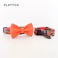 Bow Tie Collar Leash