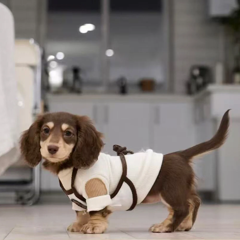 Sudadera de primavera y otoño para Dachshund y perros pequeños - imagen 5