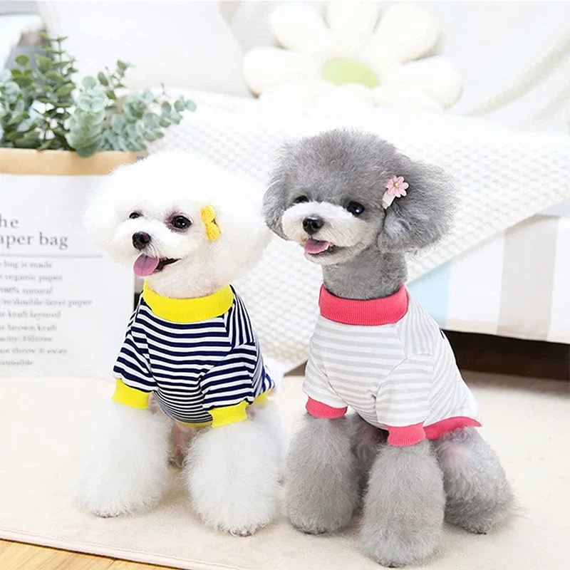 Suéter de invierno para perros pequeños - BOUSSAC - imagen 5