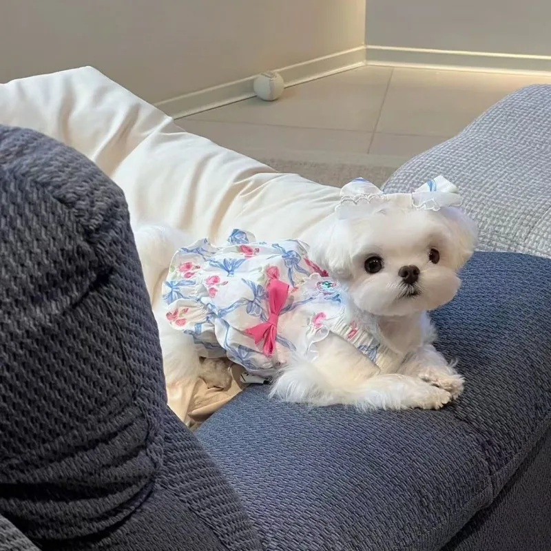 Ropa para perro con tirantes florales azules, Falda corta de princesa para mujer, lazo de calabaza, falda de tirantes de dos pies, vestidos para cachorros medianos de peluche, Verano